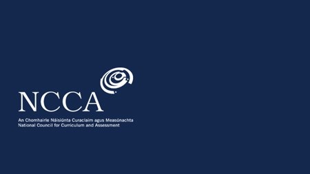 NCCA: Review of Relationships and Sexuality Education (RSE)