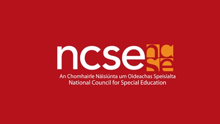 Comprehensive Review of the Special Needs Assistant Scheme